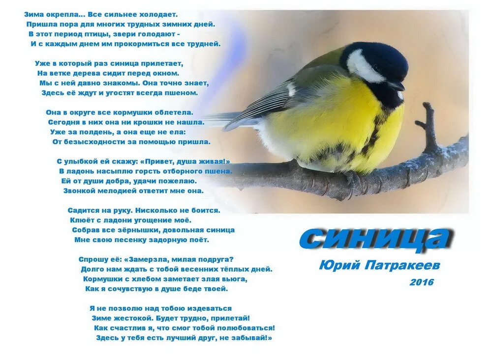 Синицы прилетели в зимний сад составить. Синицы прилетели в зимний сад составить