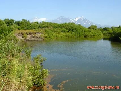Камчатка водоемы