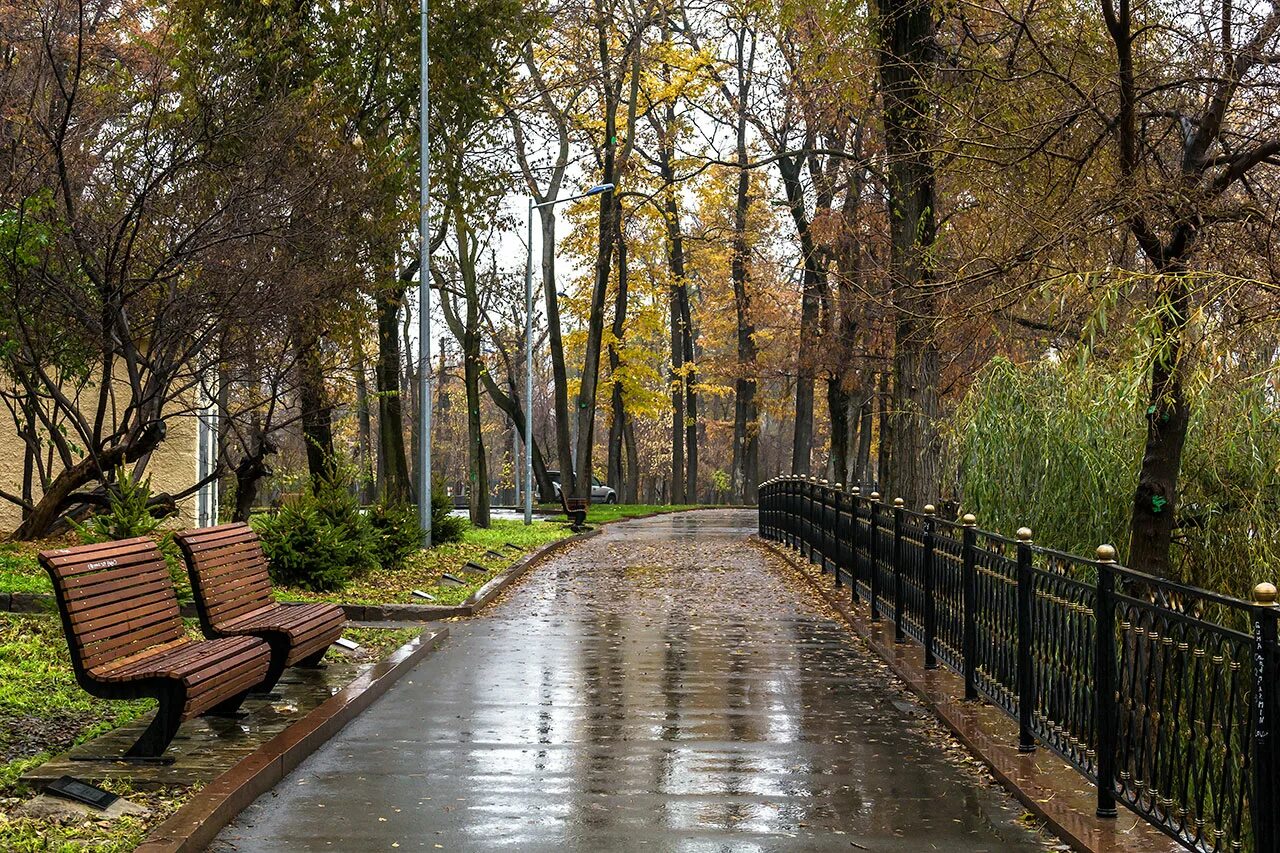 осенний дождь. осенние лужи. дождливая осень. в саду осеннем у дорожки. в мокром саду осень.