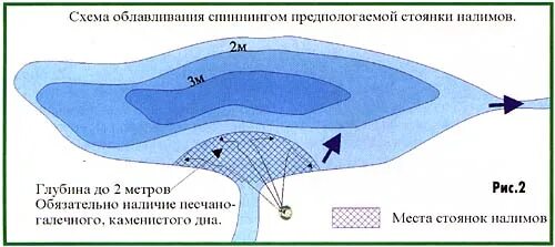 Особенности ловли налима зимой - тактика поиска на водоеме, снасти и секреты Рыб