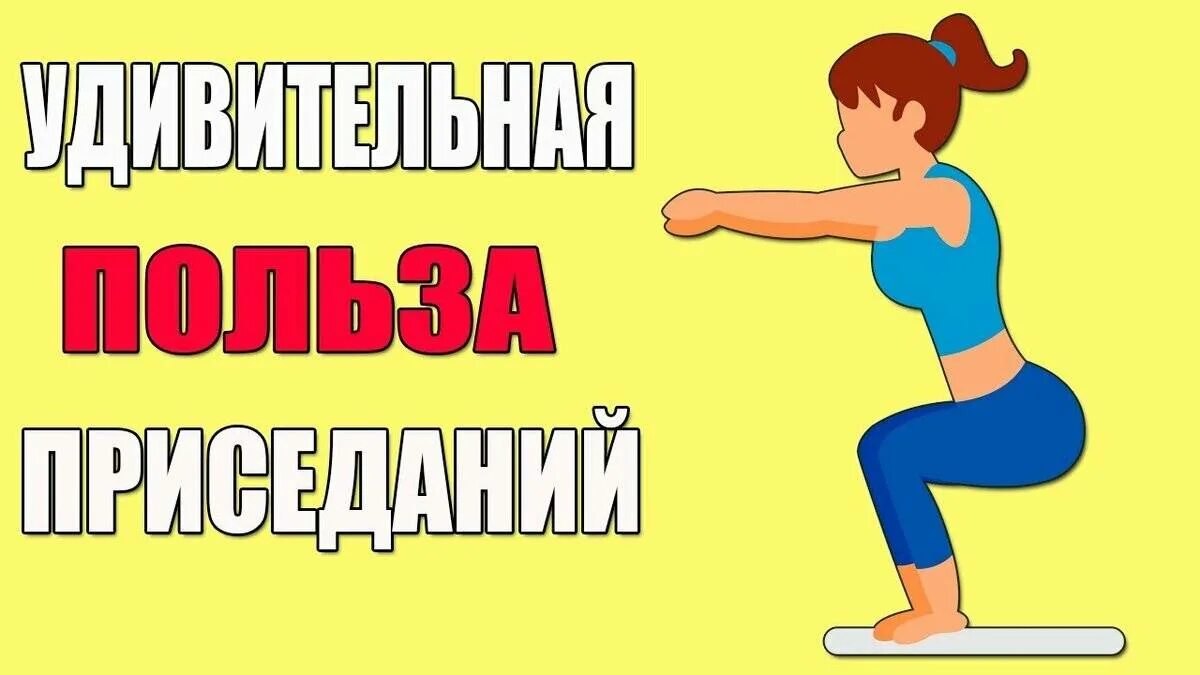 Приседания комплекс упражнений. Приседания воздействие на организм. Что дает приседание для женщин каждый. Как правильно приседать. Что дает приседание для женщин каждый.