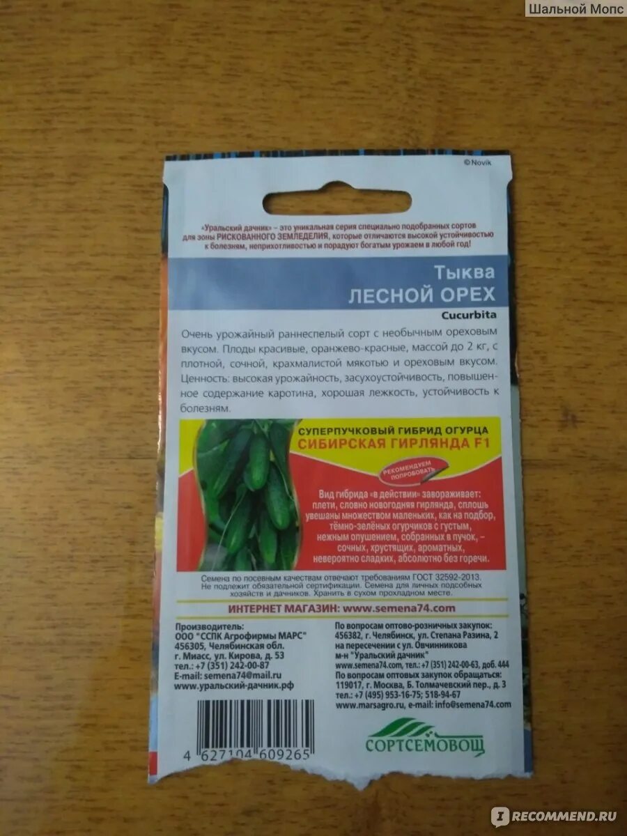 Тыква лесной орех описание сорта. Тыква лесной орех описание сорта
