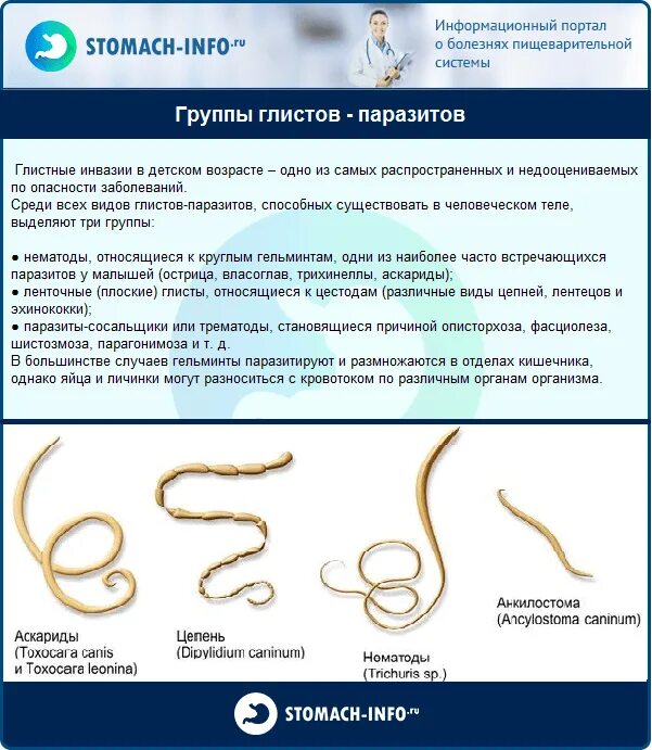 Глисты симптомы как определить. Глисты симптомы как определить