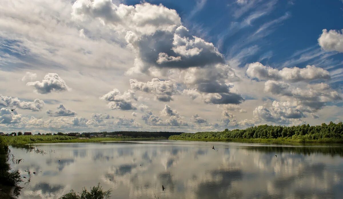 Село Бобровка Алтайский край Первомайский район. Река Бобровка Алтайский край. Река Бобровка Алтайский край Первомайский район. Природа Первомайского района Алтайский край. Бобровка алтайский край купить