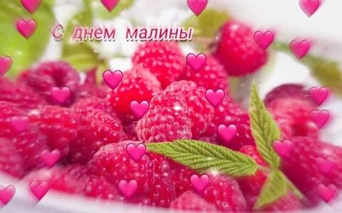 Малина 25