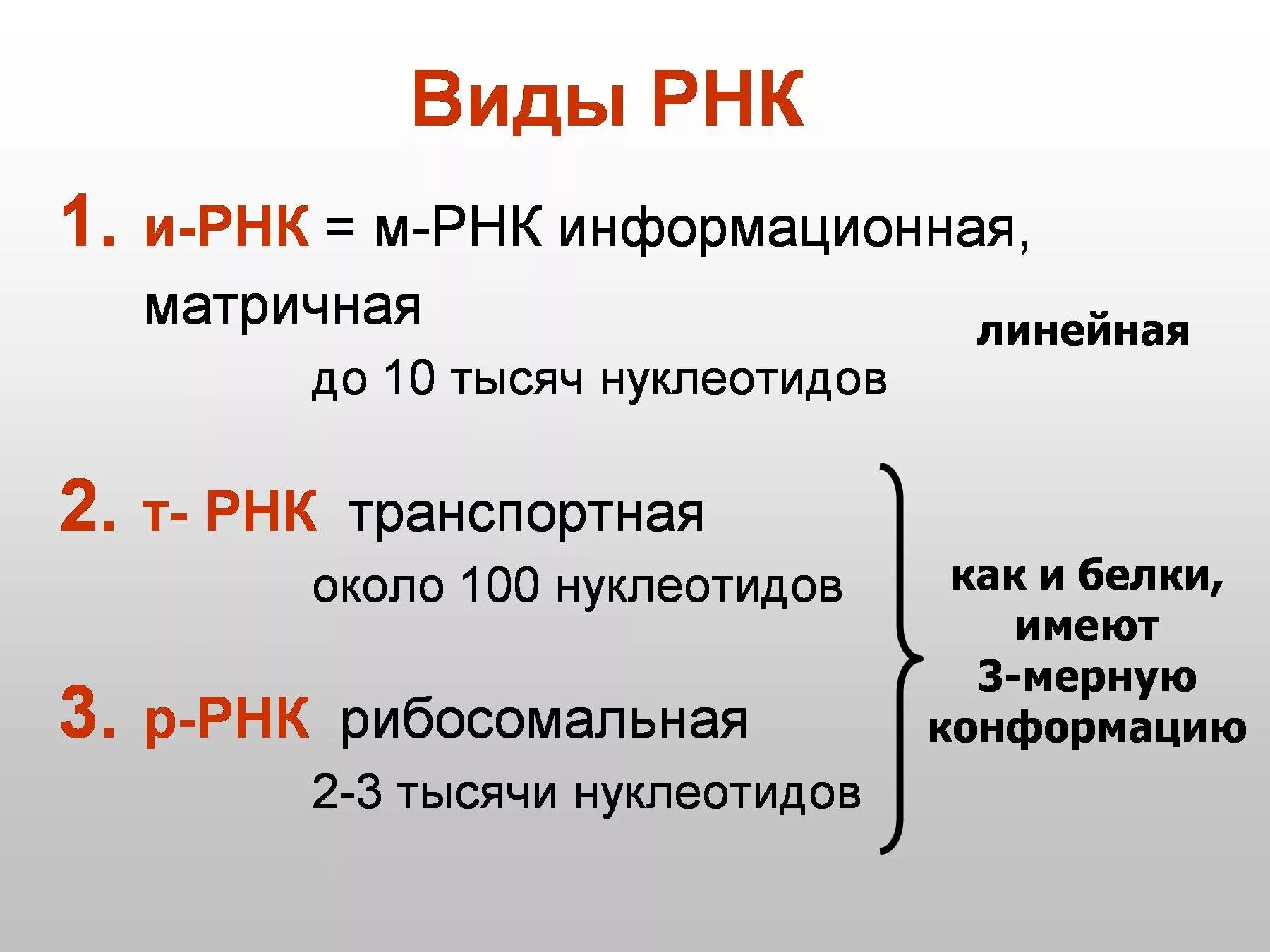 Нуклеотид РНК функции. Информационная РНК строение. РНК для презентации. Презентация на тему ДНК И РНК.