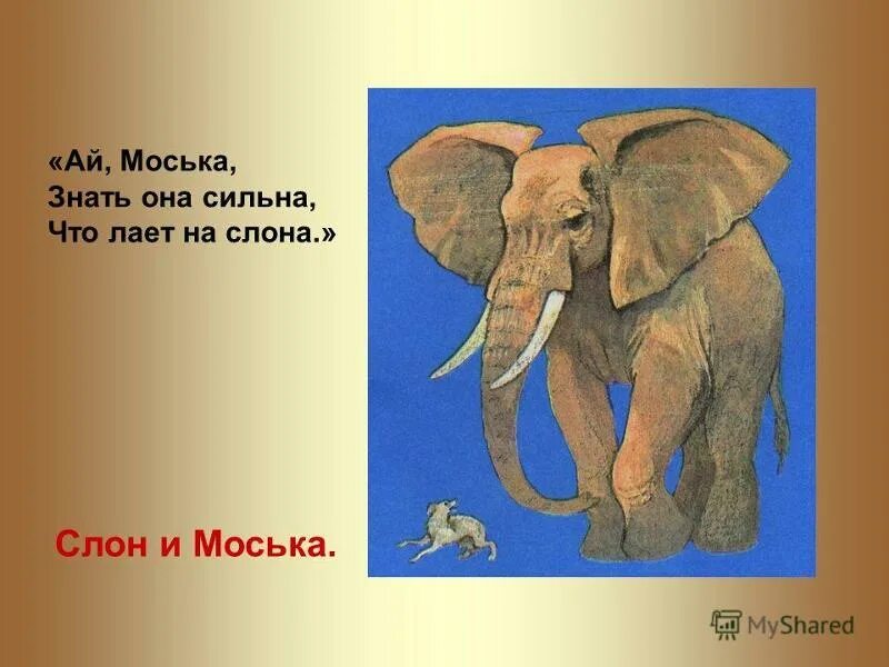 Моська знать она сильна коль. Ах моська знать она сильна коль лает на слона басня. Моська знать она сильна коль. Моська лает на слона поговорка. Моська знать она сильна что лает на слона.