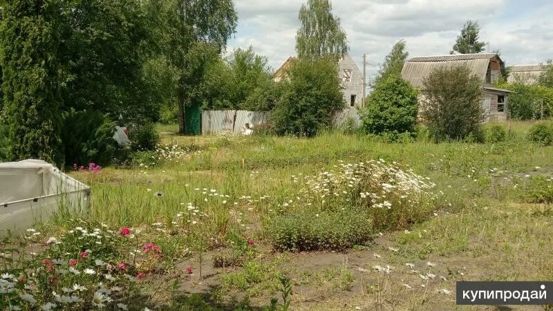 Купить дачу рамонский район воронежская