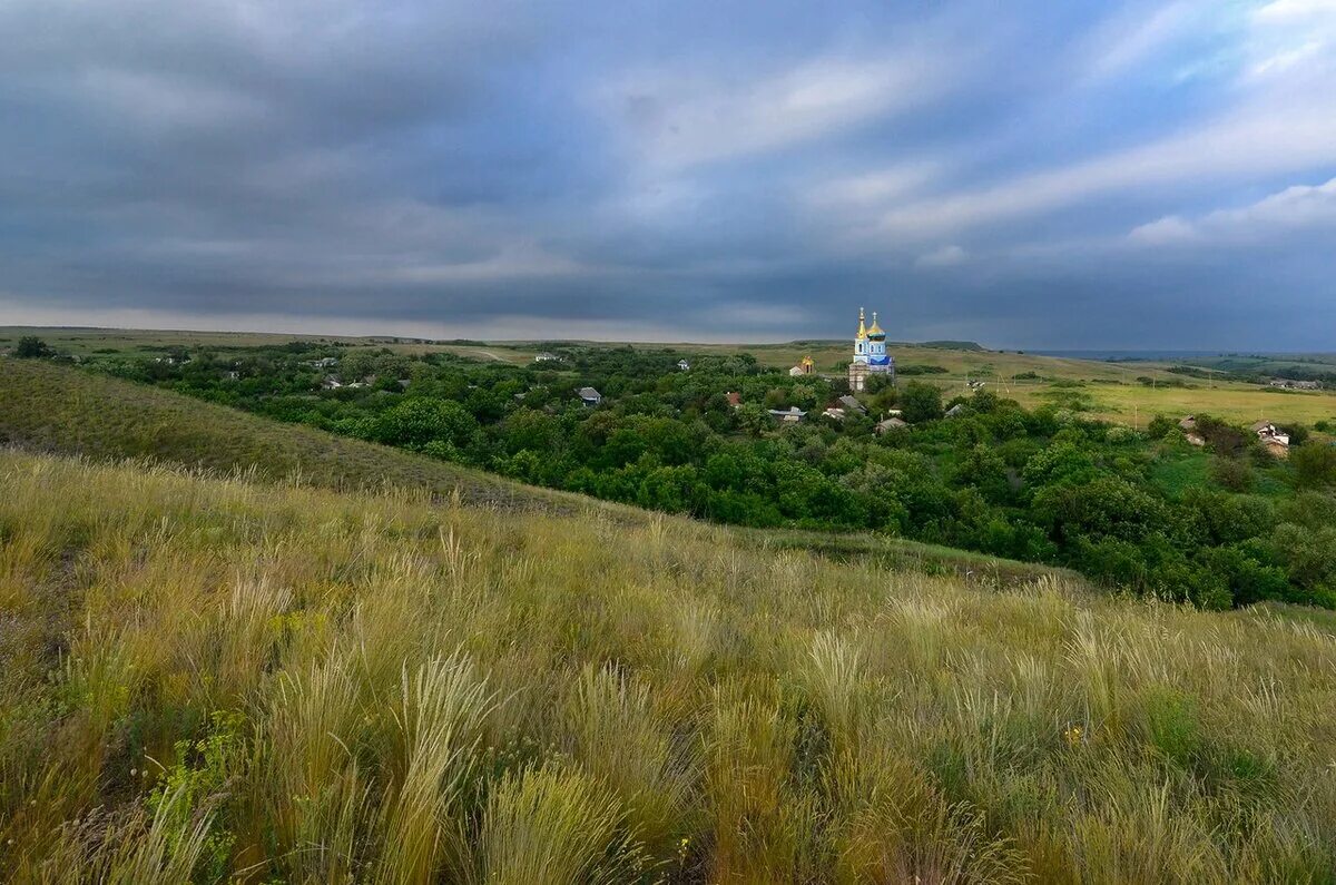 Дарьевский пруд ростовская область фото. Ростовская область дарьевские пруды. Дарьевские пруды таганрог. Железногорск курская область михайловка деревня. P участок.