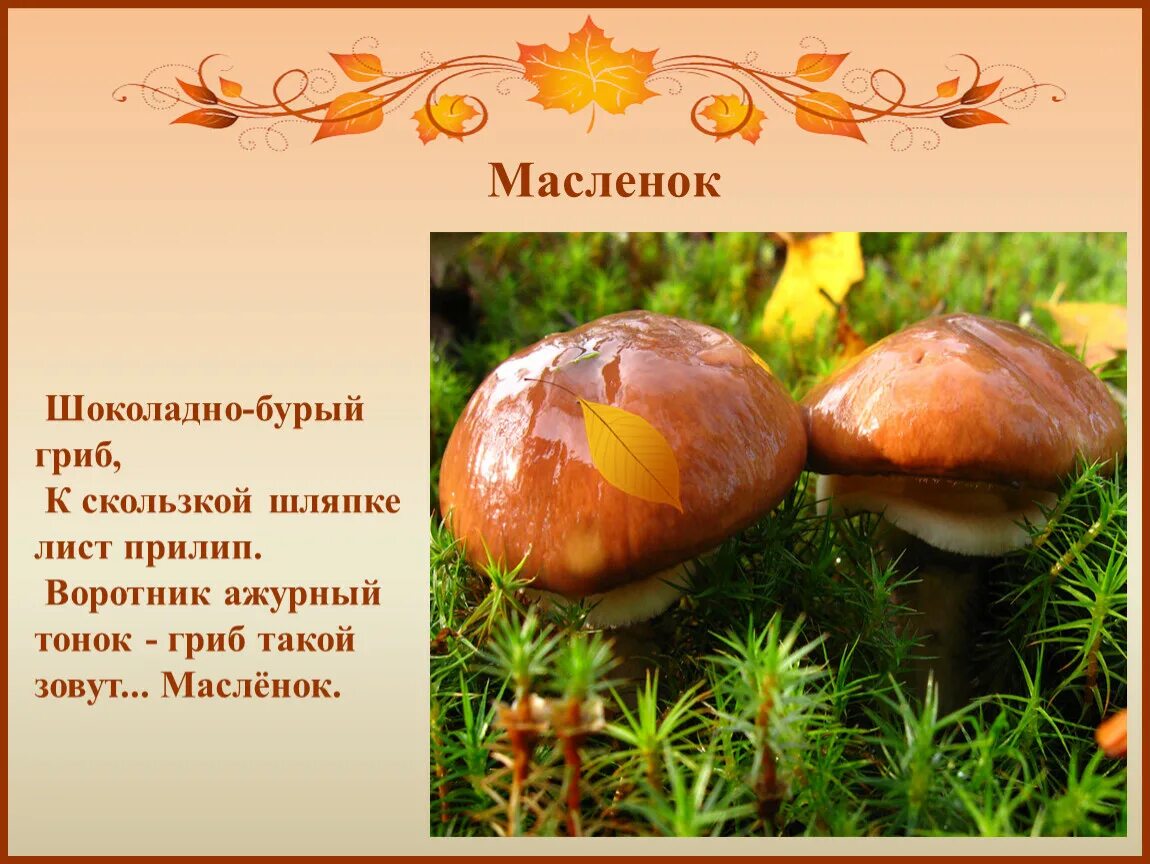 Доклад о маслятах. Проверочное слово к слову гриб. Слова с проверяемыми безударными гласными в корне. Как подобрать проверочное слово. Слова с проверяемыми безударными гласными 2 класс.