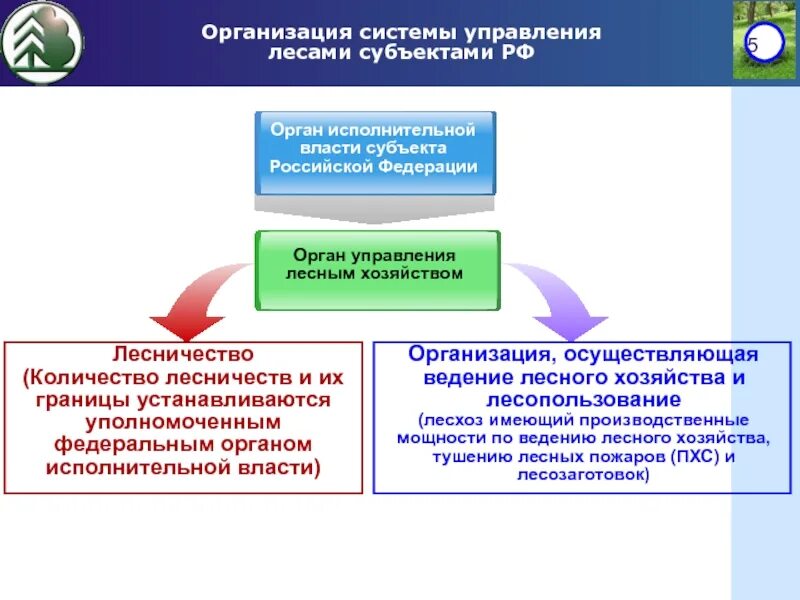 Системы органов управления субъектами рф