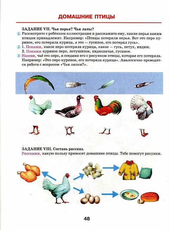 Задания дефектолога домашние птицы. Домашние птицы задания логопеда для дошкольников. Домашние птицы домашнее задание логопеда. Домашние задания логопедические домашние птицы.