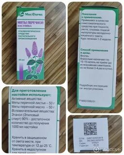 Мята от выпадения волос отзывы