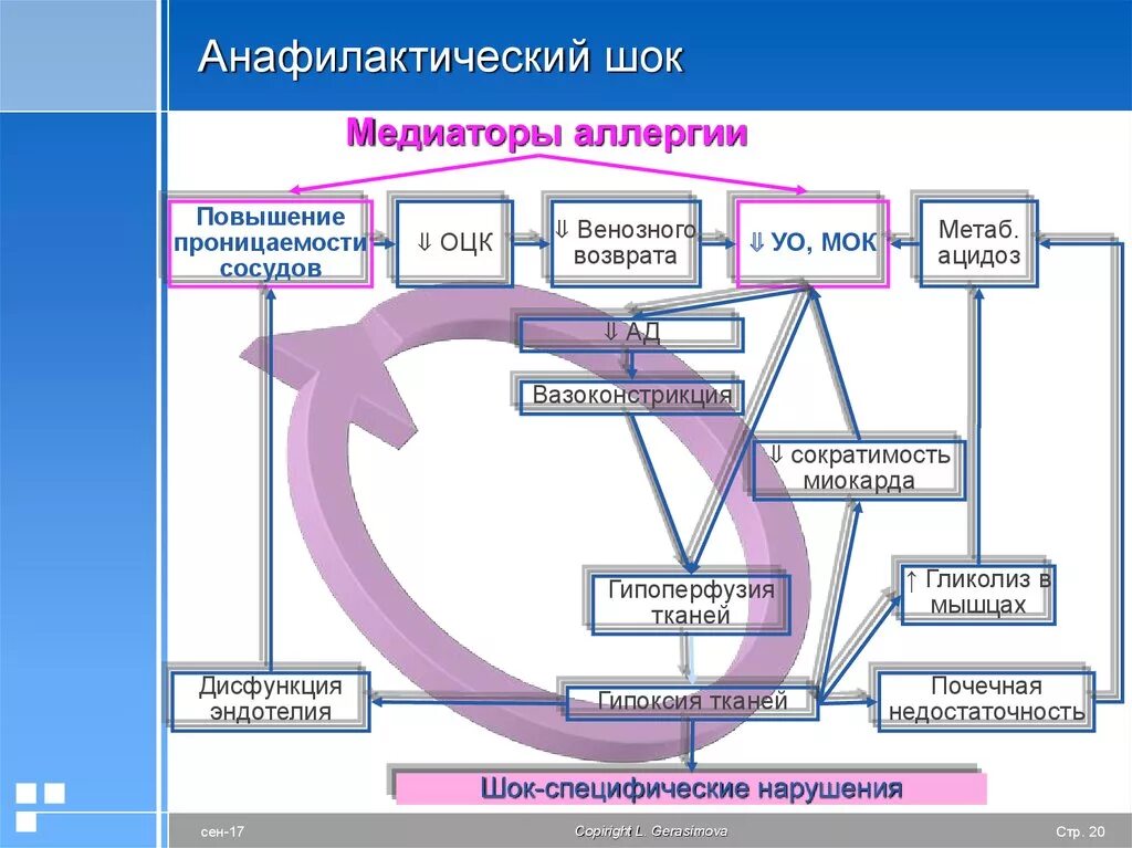 Анафилактический шок тип аллергической реакции. Анафилаксия этиология патогенез. механизм развития анафилактического шока. схема развития анафилактического шока. патогенез развития анафилактического шока.