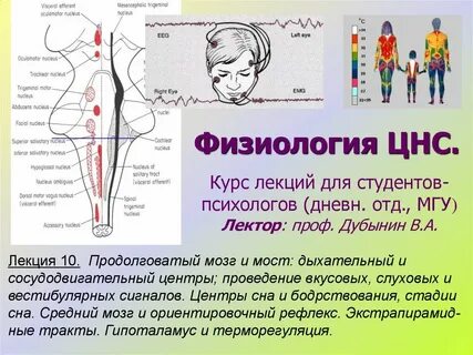 Нервный центр физиология