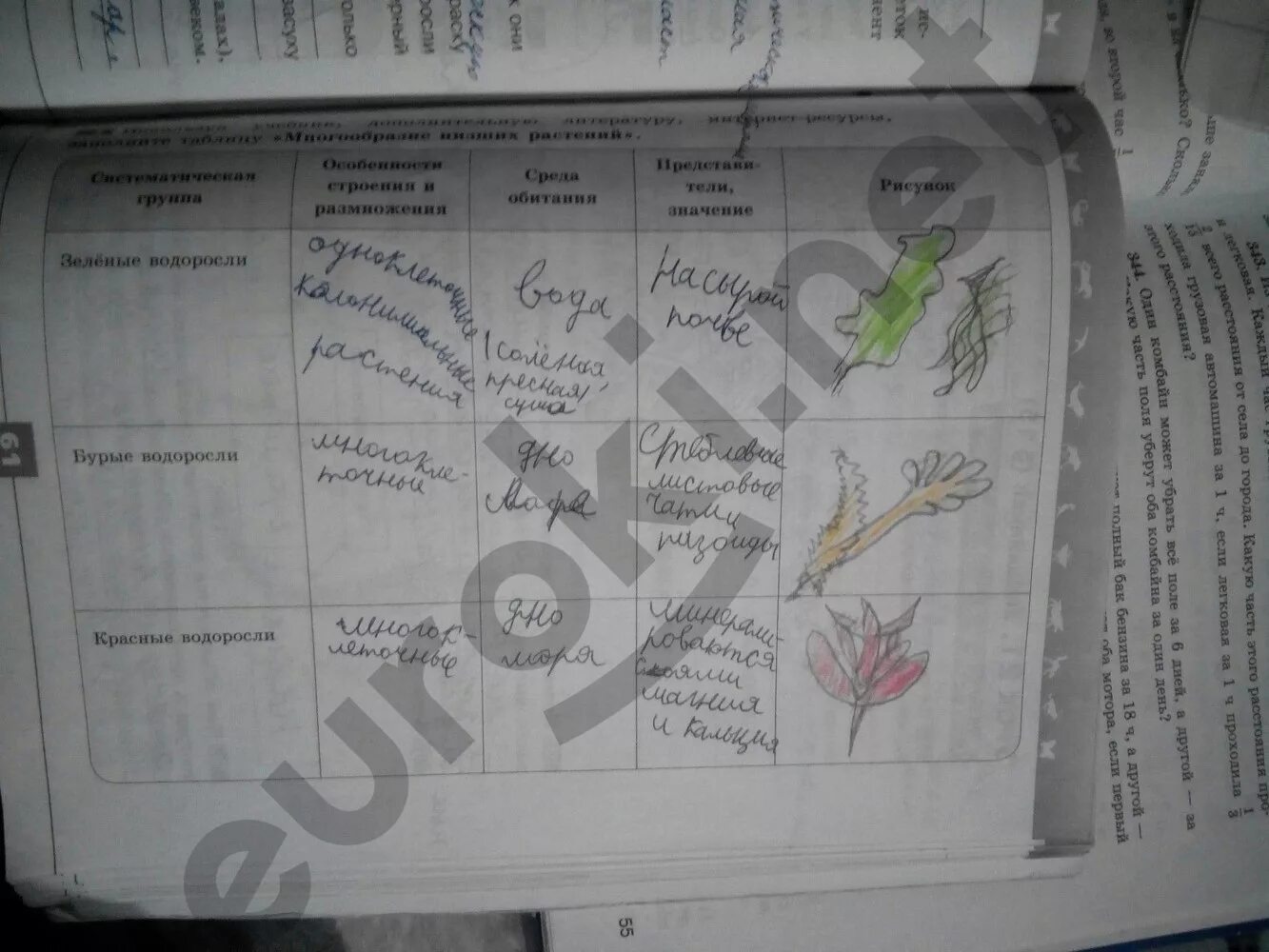 Рабочая тетрадь 5 класс стр 59. Биология 5 класс Пасечник таблицы. Домашнее задание по биологии. Водоросли рабочая тетрадь. Водоросли 5 класс биология рабочая тетрадь.