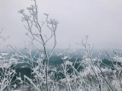 Погода в пермском крае в ноябре