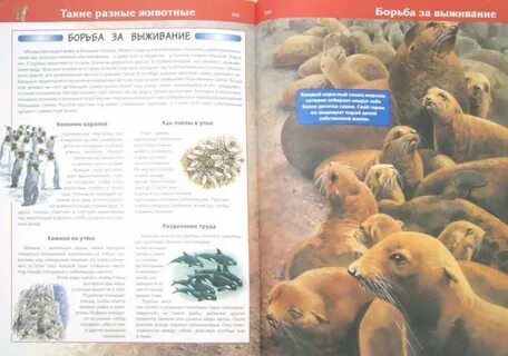 Почему животные живут