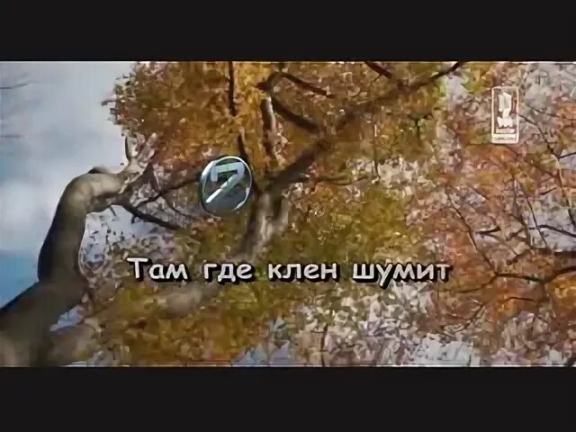 Там где шумит караоке