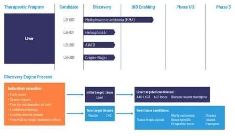 Ipo Process In Malaysia / Initial Public Offerings Crowe Malaysia PLT.