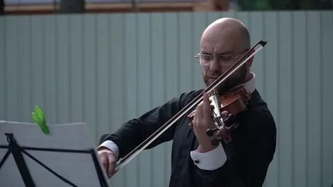 Размышления скрипка