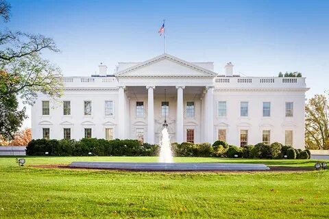 Белый цвет в сша