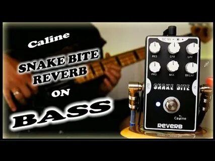Slow reverb bass