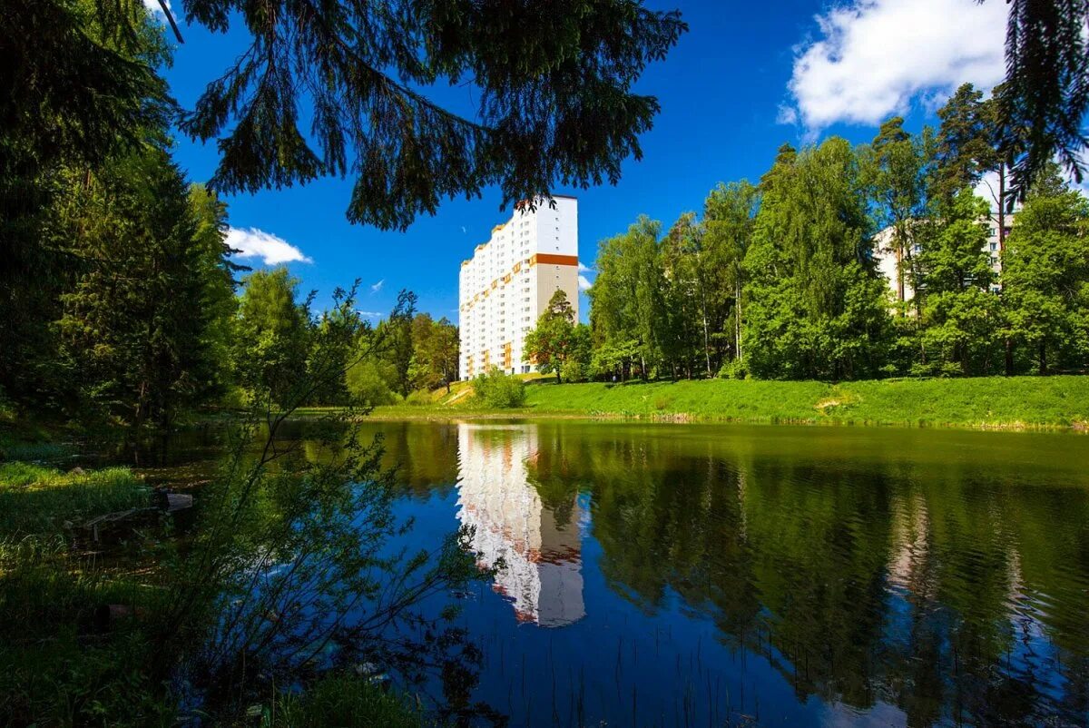 Краснознаменск одинцовский район. Поселок ликино одинцовский район. Город одинцово. Подмосковное одинцово. Подмосковное одинцово.