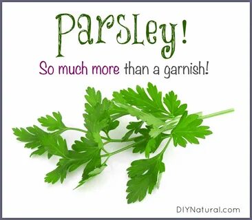 Parsley перевод на русский
