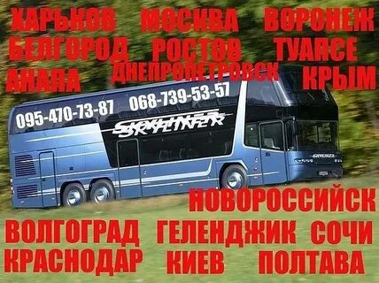 Волгоград новороссийск расписание автобусов
