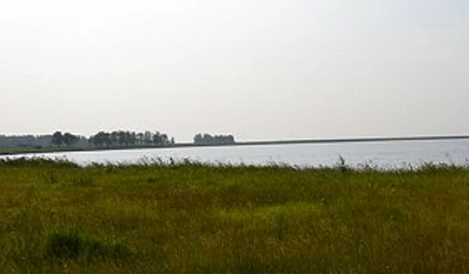 Озеро черное курганская область. Озеро песьяное тюмень. Озеро песьяное тюмень. Озеро песьяное курганская область. Озеро малое песьяное курганская область.