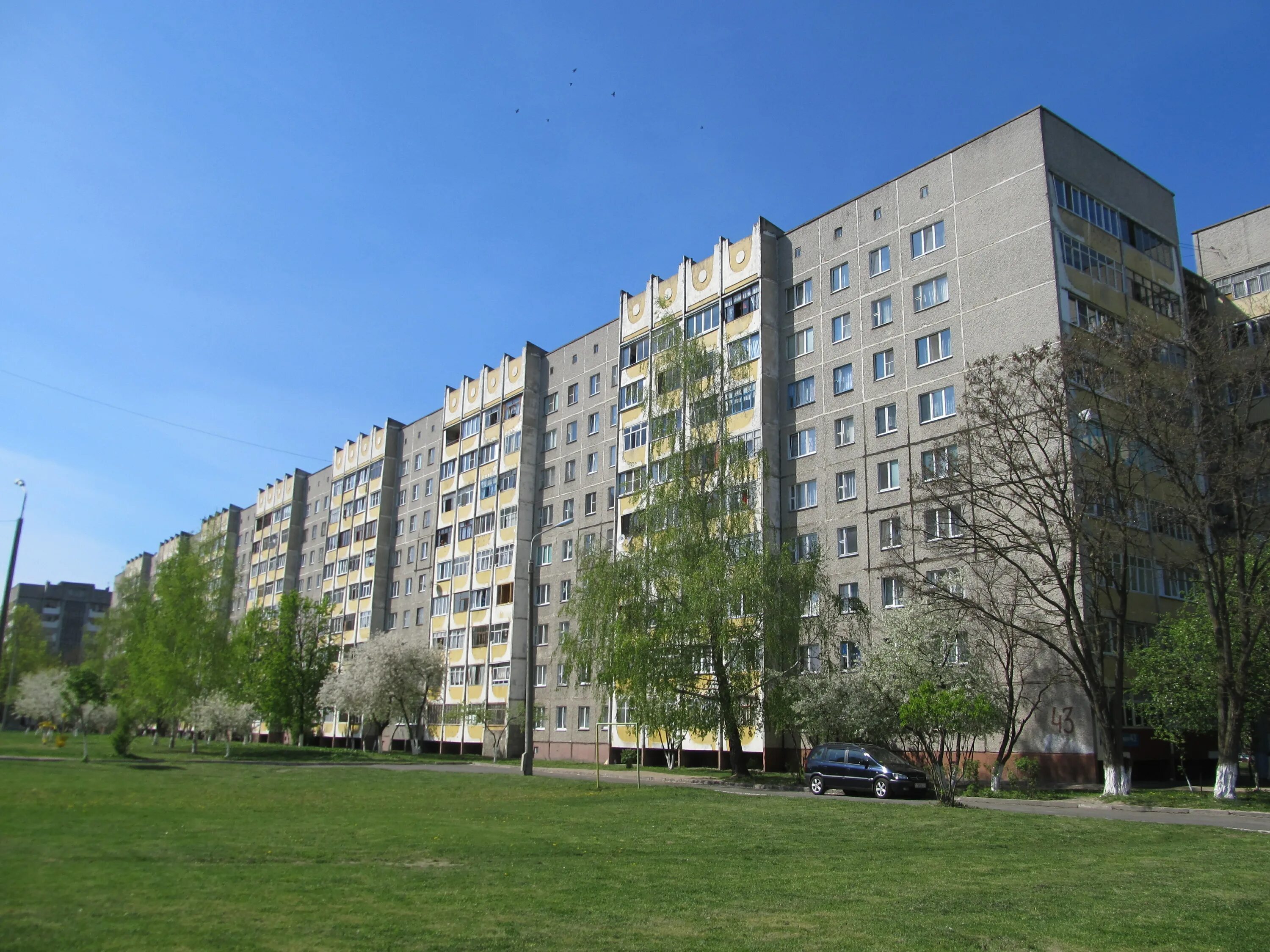 Ул петруся бровки. Гомель Петруся бровки. Улица Петруси бровки. Витебск улица Петруся бровки дом 5. Ул Петруся бровки 35 Гомель.