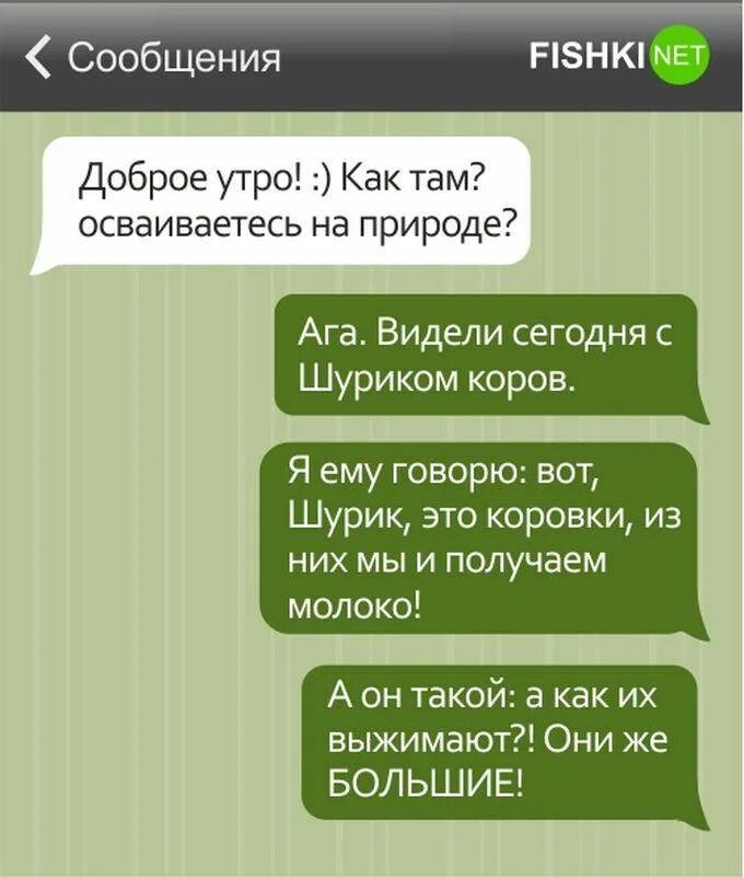 Как пошутить над другом в переписке. Смс с добрым. Шутки по смс 1 апреля. Шутки на 1 апреля в переписке. Прикол на 1 апреля смс.