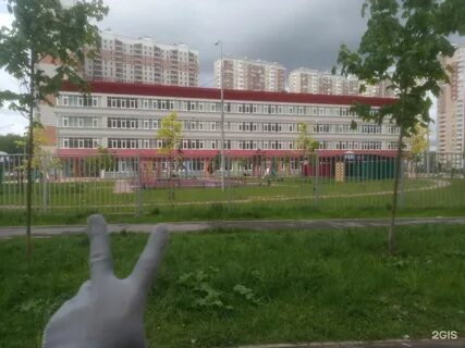 Школа 20 путилково