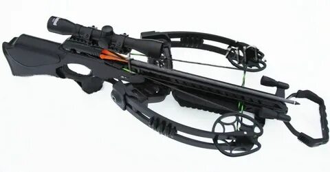 Main hunter