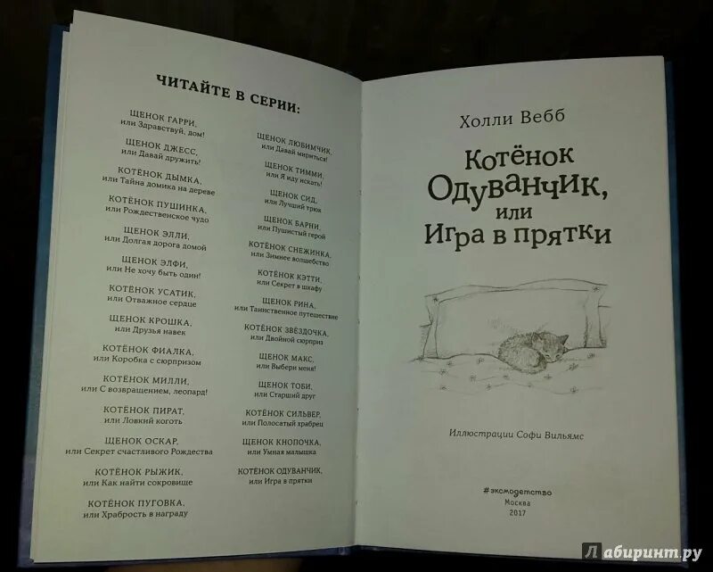 Муравьев игра в прятки читать. Холли Вебб котенок одуванчик. Холли Вебб котёнок одуванчик или игра в ПРЯТКИ. Книга котёнок одуванчик или игра в ПРЯТКИ. Котенок одуванчик или игра в ПРЯТКИ Холли Вебб книга.