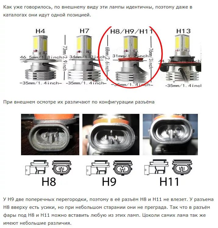 Как отличить н. Цоколь лампы противотуманной фары Киа Рио 3. Лампа h11 цоколь распиновка. Лампочки кия Рио 3 туманки цоколь. Цоколь лампы h11 h16.