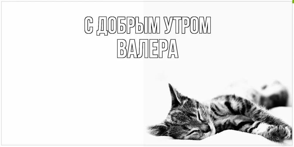 Я буду по тебе скучать стихи. Я буду скучать стихи. Коту скучно. Здравствуй родная соскучилась да я знаю. Скучаю по тебе.