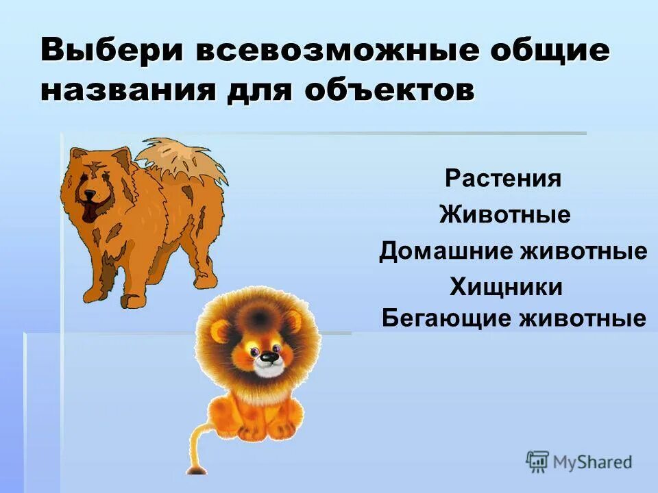 опиши предметы людей и животных