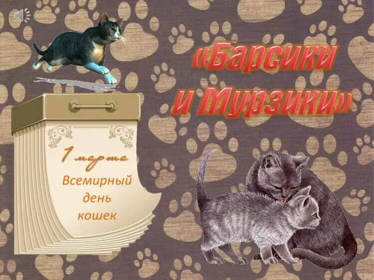 День котиков в россии. Всемирный день кошек. Всемирный день кошек 2021. Всемирный день кошек открытки.