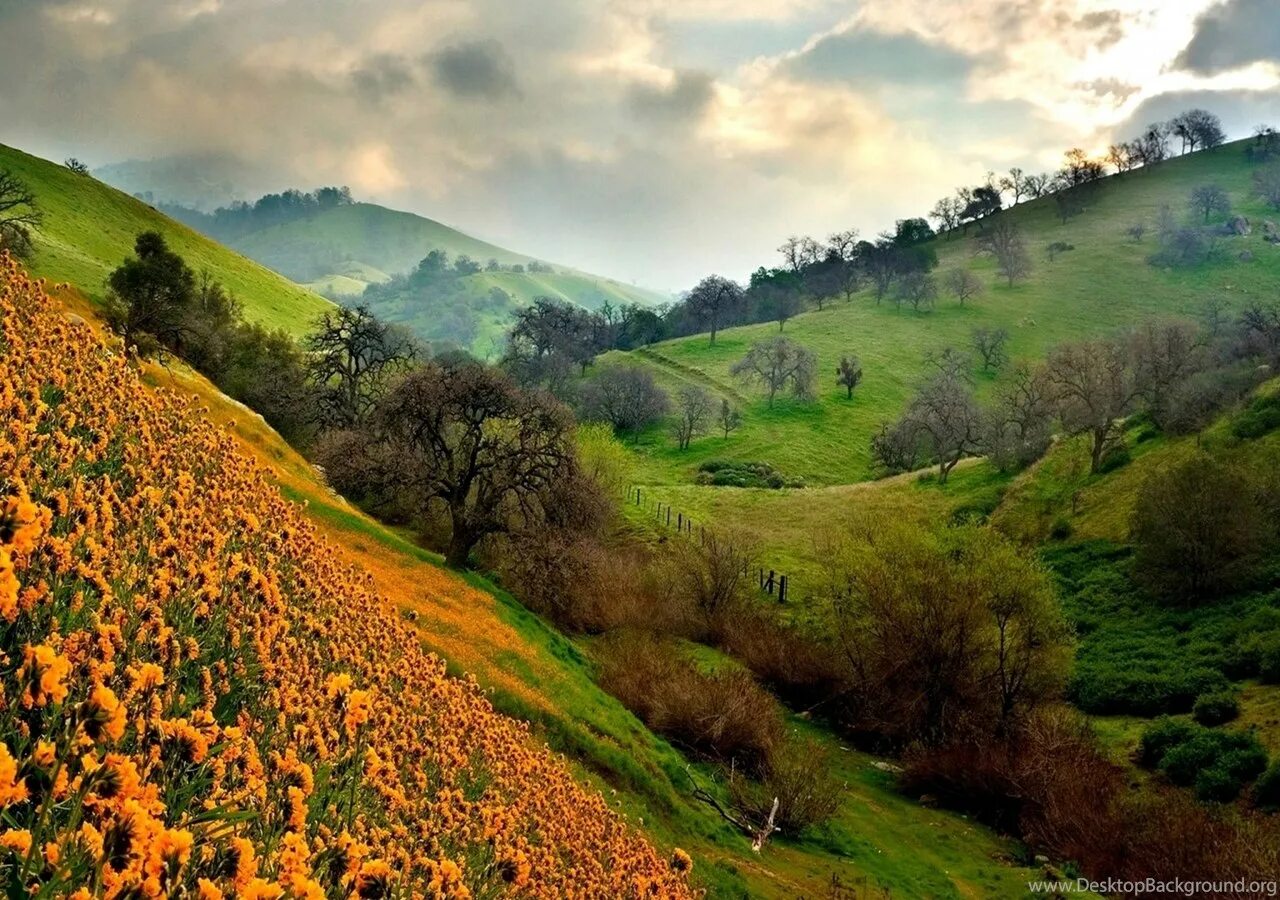 Natural view. Green Hills зеленые холмы Ирландии. Зеленые холмы Армения. Армения природа холмы. Холмы в Болгарии.