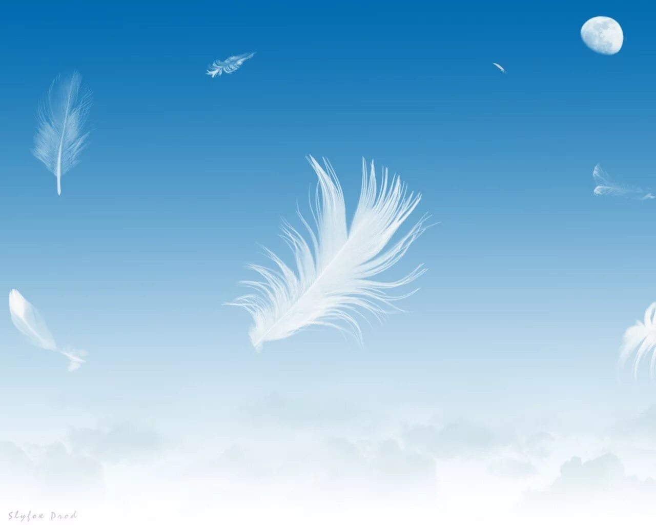 Лет перышко. Девушка с перышком. Перышко белое на голубом небе с бабочкой картинки. Ангельские перья. Отпустить перышко.