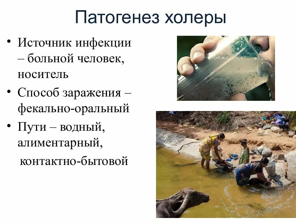 Холера передается воздушно капельным путем. Холера способ передачи. холера пути передачи инфекции. источник заражения при холере. холера механизм и пути передачи.