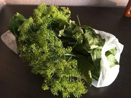 Зелень для засолки