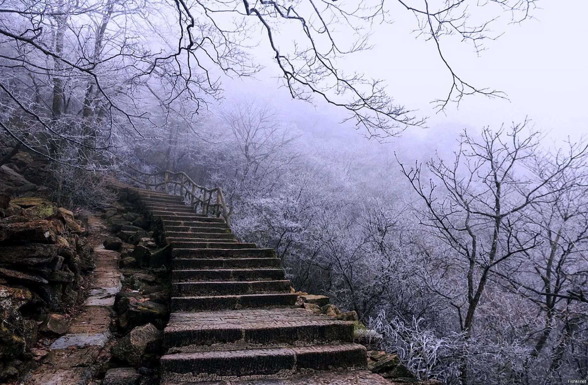 Зимние ступени. Лестница вверх. Японская лестница. Зимняя лестница. Каменная лестница вниз.