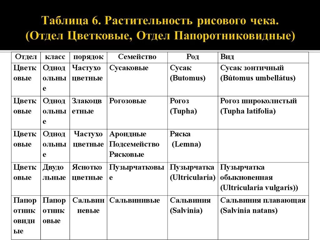 Таблица по биологии растительные сообщества. Таблица растительности. Типы растительности таблица. Таблица виды растительных сообществ. Отдел Папоротниковидные таблица.