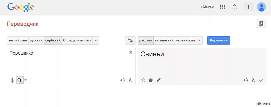 Переводчик на Сербский. Переводчик с сербского на русский. Сербский язык переводчик на русский. Текст на сербском языке.