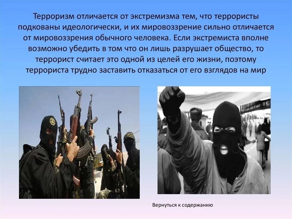 Какой срок дали террористу