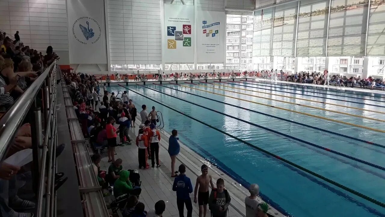 В Центре водных видов спорта "Невская волна" в Невском районе завершился масштаб