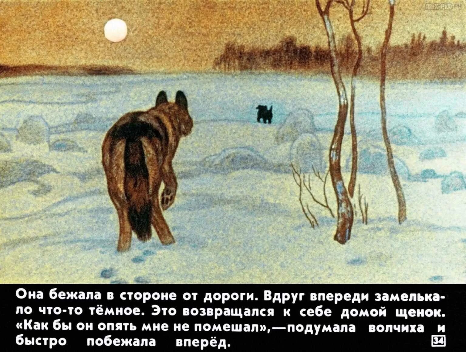 Белолобый краткое содержание. А. П. Белолобый. "белолобый".